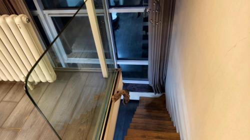 a cat is walking down a stairs in a room at Chaoyang Joy City Hardcover Apartment in Beijing