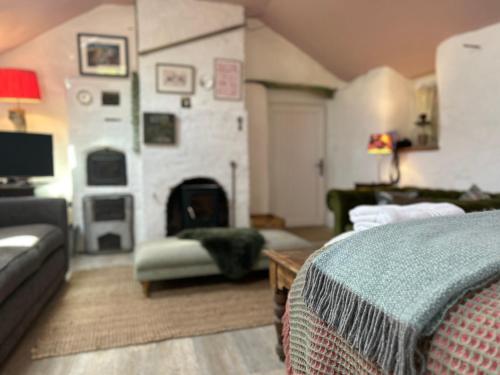a living room with a couch and a fireplace at The Bw thyn - Ceredigion in Lampeter