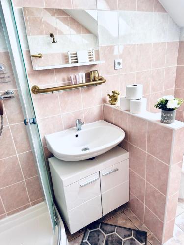 a bathroom with a sink and a shower at Penzión BACH in Vyšné Ružbachy