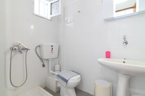 a bathroom with a shower and a toilet and a sink at Armiriki Rooms in Vrasná