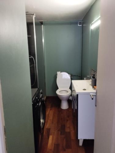 une salle de bain avec toilettes et lavabo dans l'établissement Jolie appartement centre Palavas les Flots, à Palavas-les-Flots