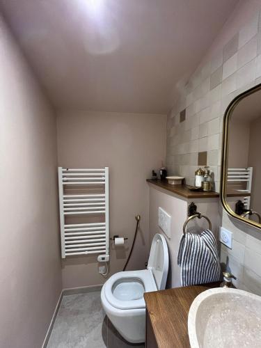 a bathroom with a toilet and a sink at Dar Fafy studio cosy au calme à 15min de Nantes in Bouguenais
