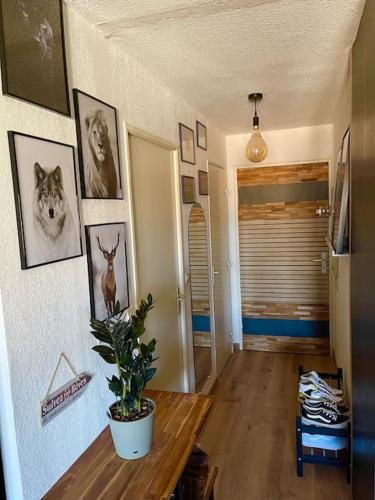 un salon avec une plante en pot sur une table dans l'établissement Joli T2 avec piscine, à Fréjus