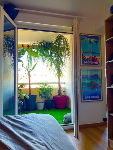 une chambre avec une fenêtre avec des plantes en pot sur le sol dans l'établissement Joli T2 avec piscine, à Fréjus