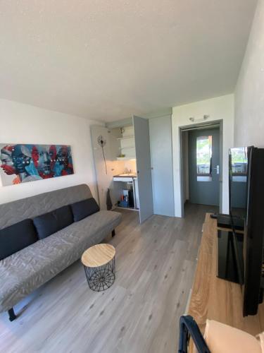 a living room with a couch and a television at Studio vue port, Arcachon, piscine, wifi in Arcachon