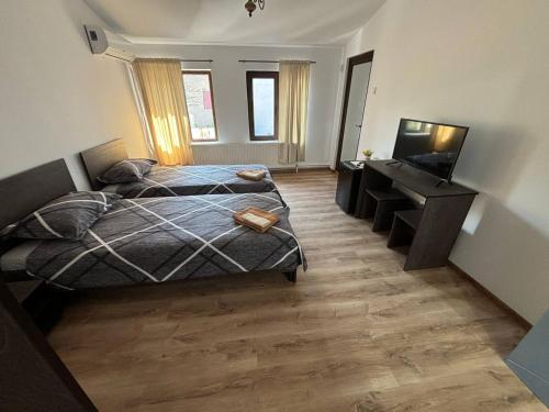 a bedroom with two beds and a desk at Alexander Residence in Brăila