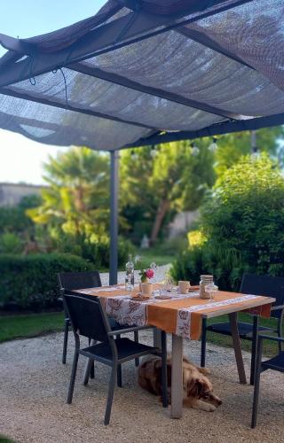 Κήπος έξω από το Domaine chez Maurice