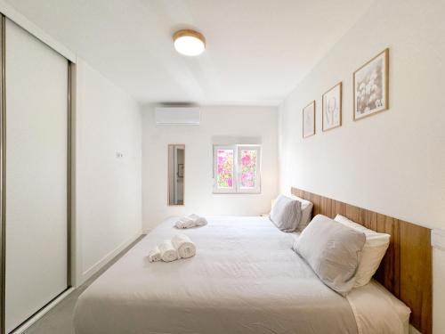 Apartamento Centro Histórico