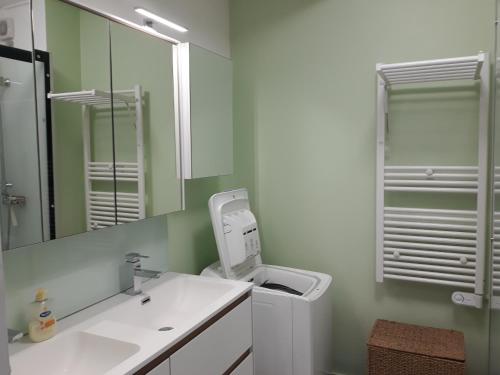 une salle de bain avec un lavabo et un miroir dans l'établissement Belle Vue, à Palavas-les-Flots