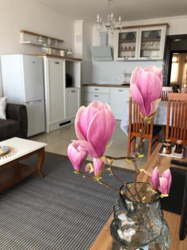 Η κουζίνα ή μικρή κουζίνα στο 2 bedroom apartment Sveti Vlas with 2 balconies and sea views