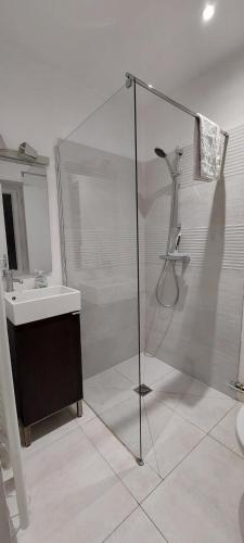 une salle de bain avec une douche en verre et un lavabo dans l'établissement Le Petit B - Lit Neuf- Hyper centre, à Dieppe
