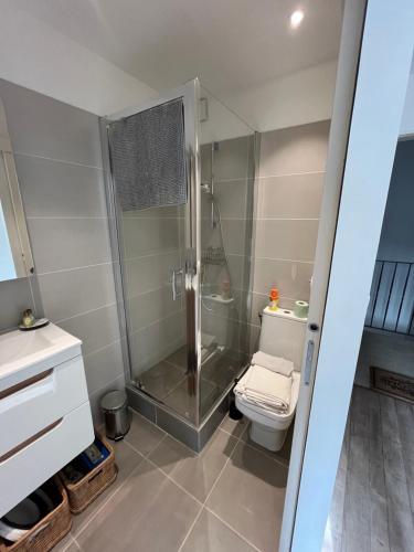une salle de bain avec douche et toilettes dans l'établissement Studio Intra-Muros idéal festivalier Climatisé, à Avignon