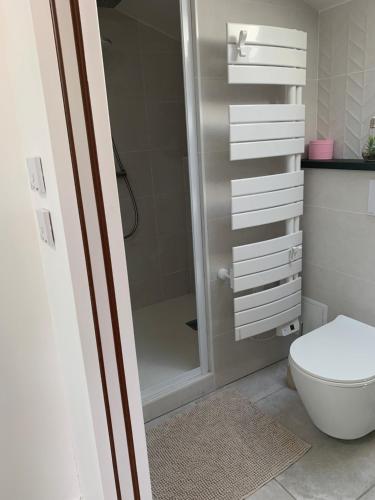 La salle de bains est pourvue d'une douche et de toilettes blanches. dans l'établissement Studio cosy proche plages, à Anglet