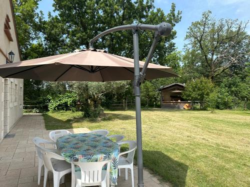 Gite au calme à 15 min d'Albi, 7 personnes