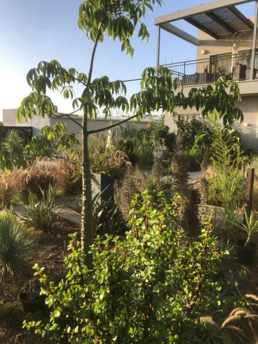 a garden with a tree and flowers in front of a building at Kineret View in Neot Golan