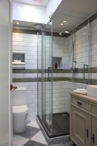 a bathroom with a glass shower and a toilet at Steeple View - Romantic Wye Valley Country House Studio Apartment - Dog Friendly in Newland