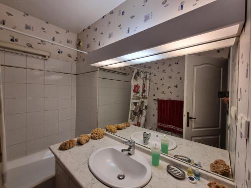une salle de bain avec un lavabo et un miroir dans l'établissement Chambre avec SDB et Toilettes privatives, à Rosny-sous-Bois