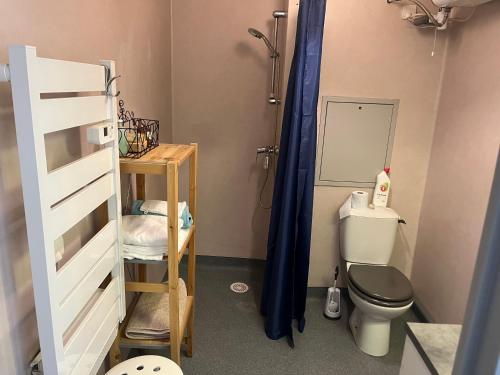 une petite salle de bain avec toilettes et douche dans l'établissement Studio et box 2 arrêts tram Partdieu, 4 du Groupama Stadium avec le tramway T3, à Villeurbanne