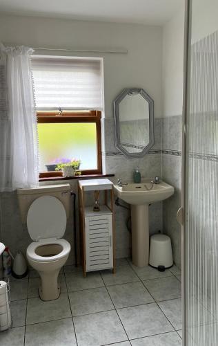 a bathroom with a toilet and a sink and a mirror at House in the heart of the village in Glencolumbkille