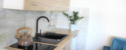 - un comptoir de cuisine avec évier et bouilloire dans l'établissement Bursztynowe Zacisze Domek 2 Chłopy ul Turystyczna 6, à Chłopy