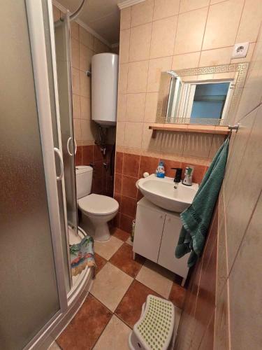 a small bathroom with a toilet and a sink at Rózsakő Apartman in Balatonalmádi