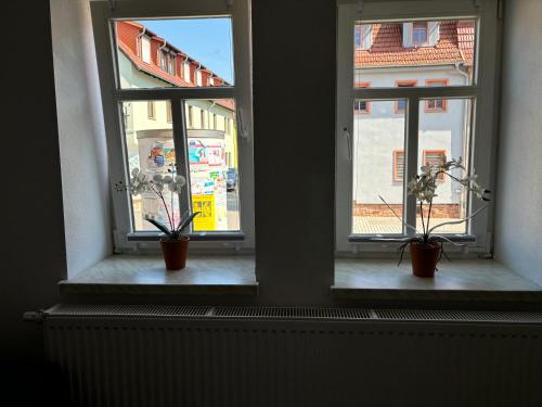 two windows with potted plants in them in a room at Ferienwohnung Bad Frankenhausen in Bad Frankenhausen