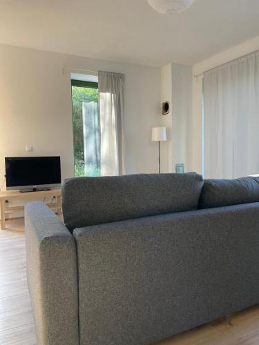 a living room with a blue couch and a television at Dom pod brzozami in Kierwik