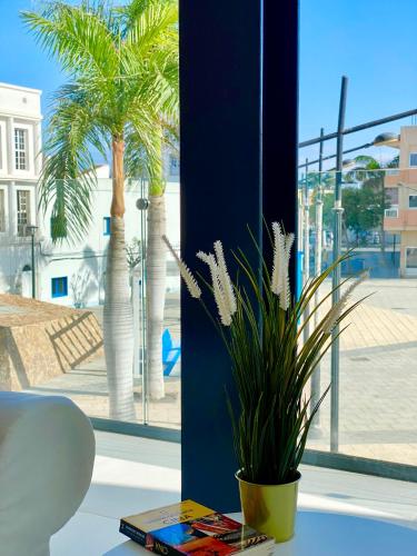 Canarian Sun Apartment 2