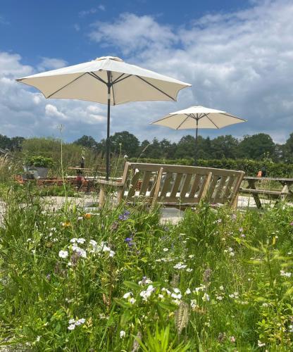 Zahrada ubytování Erve Zonnehoeve B&B en Wijngaard