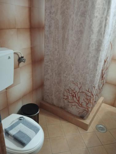 a bathroom with a shower curtain and a toilet at ANATOLI ROOMS SERIFOS in Serifos Chora