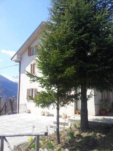 a white house with a tree in front of it at La Colombella in Montemonaco