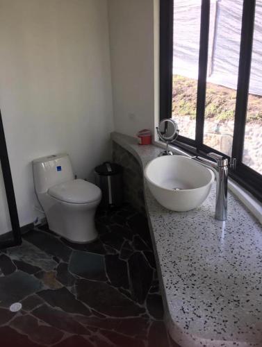 a bathroom with a toilet and a sink at Small Round House with Living Roof in Armenia
