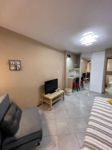 un salon avec un canapé et une télévision dans l'établissement M&S STUDIO NEUF CLIMATISÉ CENTRE Historique, à Vias