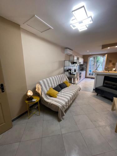 a living room with a couch and a fireplace at M&S STUDIO NEUF CLIMATISÉ CENTRE Historique in Vias