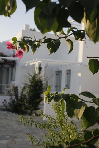 Afbeelding uit fotogalerij van Tiepolo Skyros in Skiros