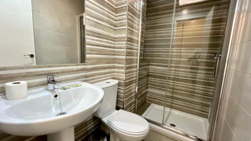 a bathroom with a toilet and a sink and a shower at Apartamentos Pintor Losada in Córdoba