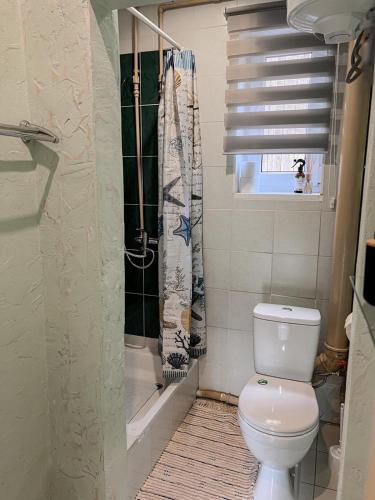 a bathroom with a toilet and a shower at Pelēkzirņa Apartamenti in Ainaži