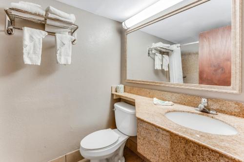 a bathroom with a toilet and a sink and a mirror at Red Carpet Inn & Suites in Philadelphia