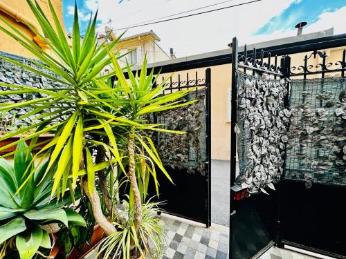 une porte noire avec des plantes devant un bâtiment dans l'établissement monaco à 30 secondes et belle terrasse très calme, à Beausoleil