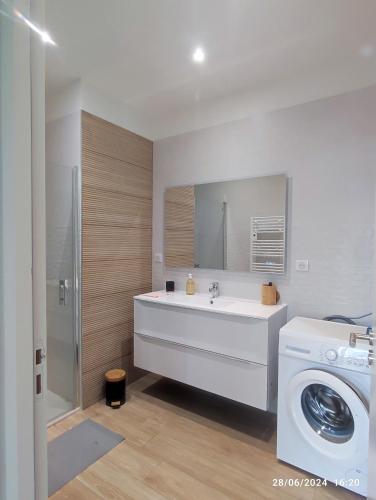une salle de bain avec un lavabo et une machine à laver dans l'établissement Gîte classé 4 étoiles Mulhoa, à Hasparren