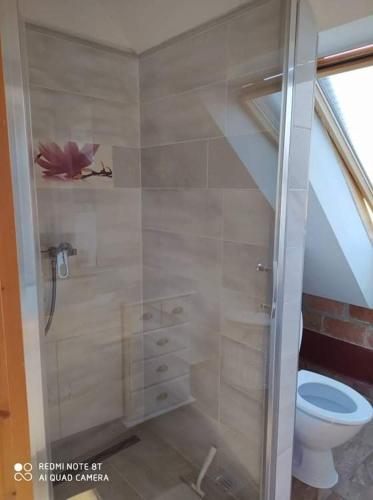 a bathroom with a shower with a toilet in it at Négy Évszak Apartmanház in Zalakaros