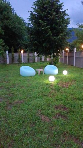 two frisbees on the grass in a field at Harmony Hideaway in Gabala