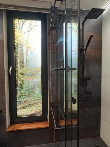 a glass shower with a window in a bathroom at Apartament Madlen Kalinowa Szczyrk Sauna Grota Solna in Szczyrk