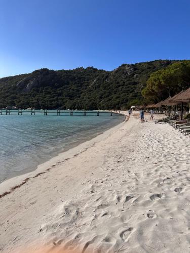 Photo de la galerie de l'établissement Villa private pool heated 5 min from sea fast WiFi, à Porto-Vecchio