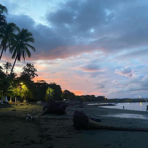 a sunset on a beach with palm trees and the ocean at Casa Del Bambu in Puerto Jiménez