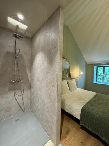 サントネにあるLe Clos de la Chapelleの部屋にはシャワーとベッド付きのバスルームがある