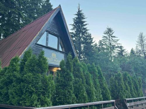 a house with a roof on top of trees at Chalet Musala Borovets by BookVillaBG in Borovets
