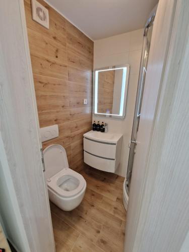 a bathroom with a toilet and a sink at Small house Saint Michael in Šibenik