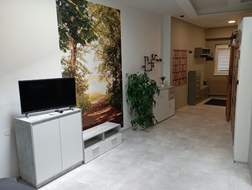 a living room with a tv on a wall at Soukromý apartmán Deluxe in Trutnov