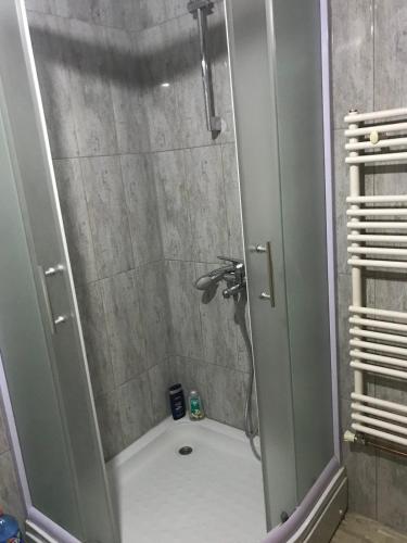 a shower with a glass door in a bathroom at Vila Damir in Gornja Šišava